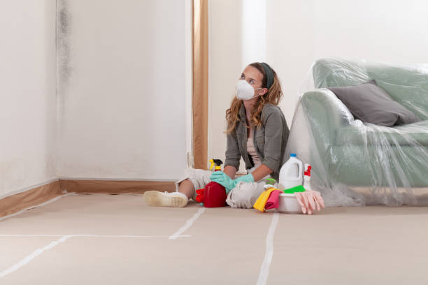 Reliable Mold Remediation contractor in Holly Springs, NC by Cheap Mold Removal